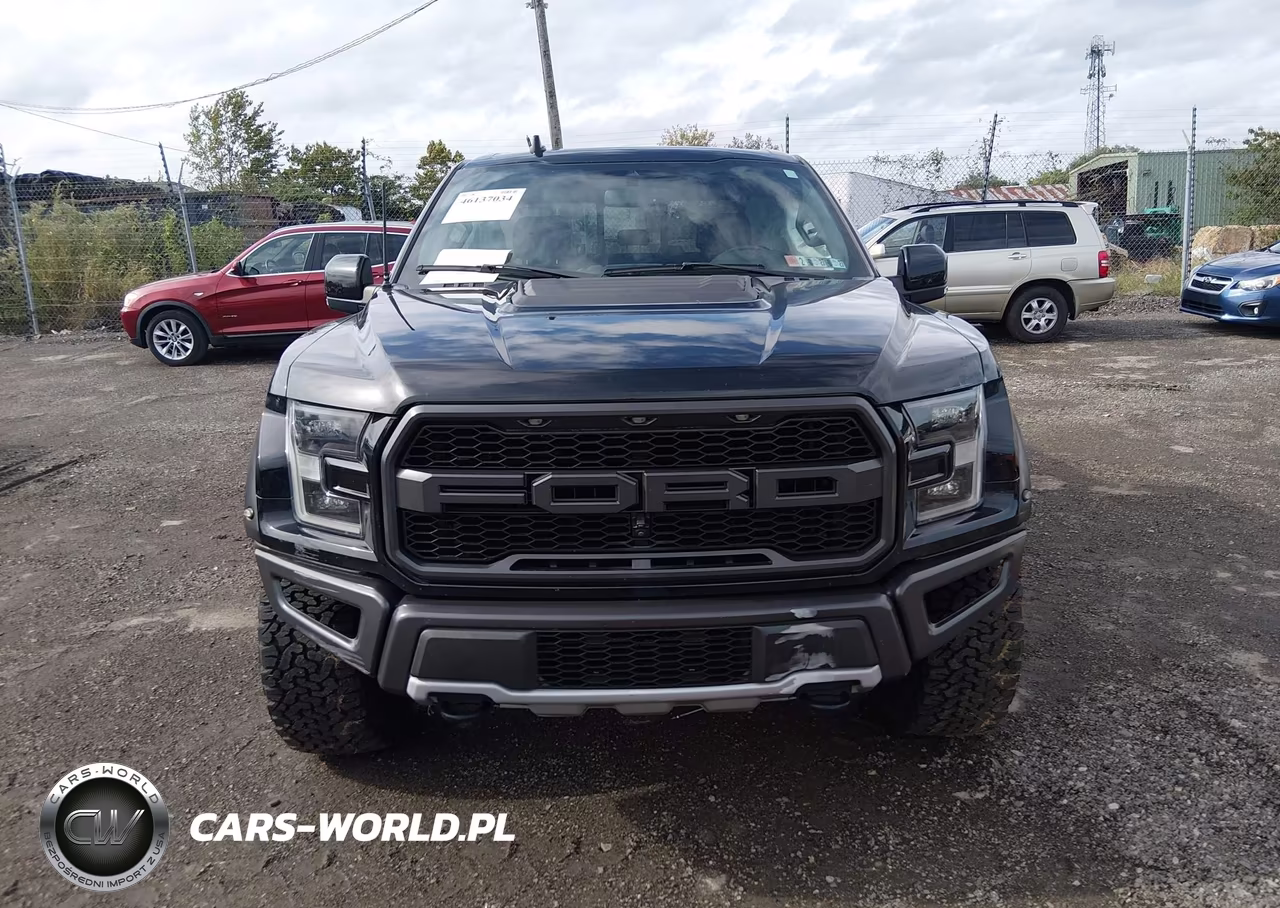 2020 Ford F-150 Raptor VIN:1FTFW1RG7LFB12469 - 12