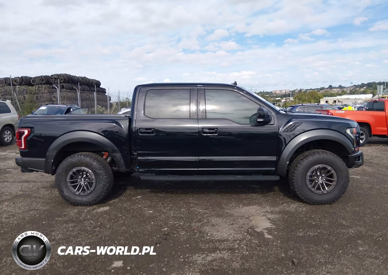 2020 Ford F-150 Raptor VIN:1FTFW1RG7LFB12469 - 13