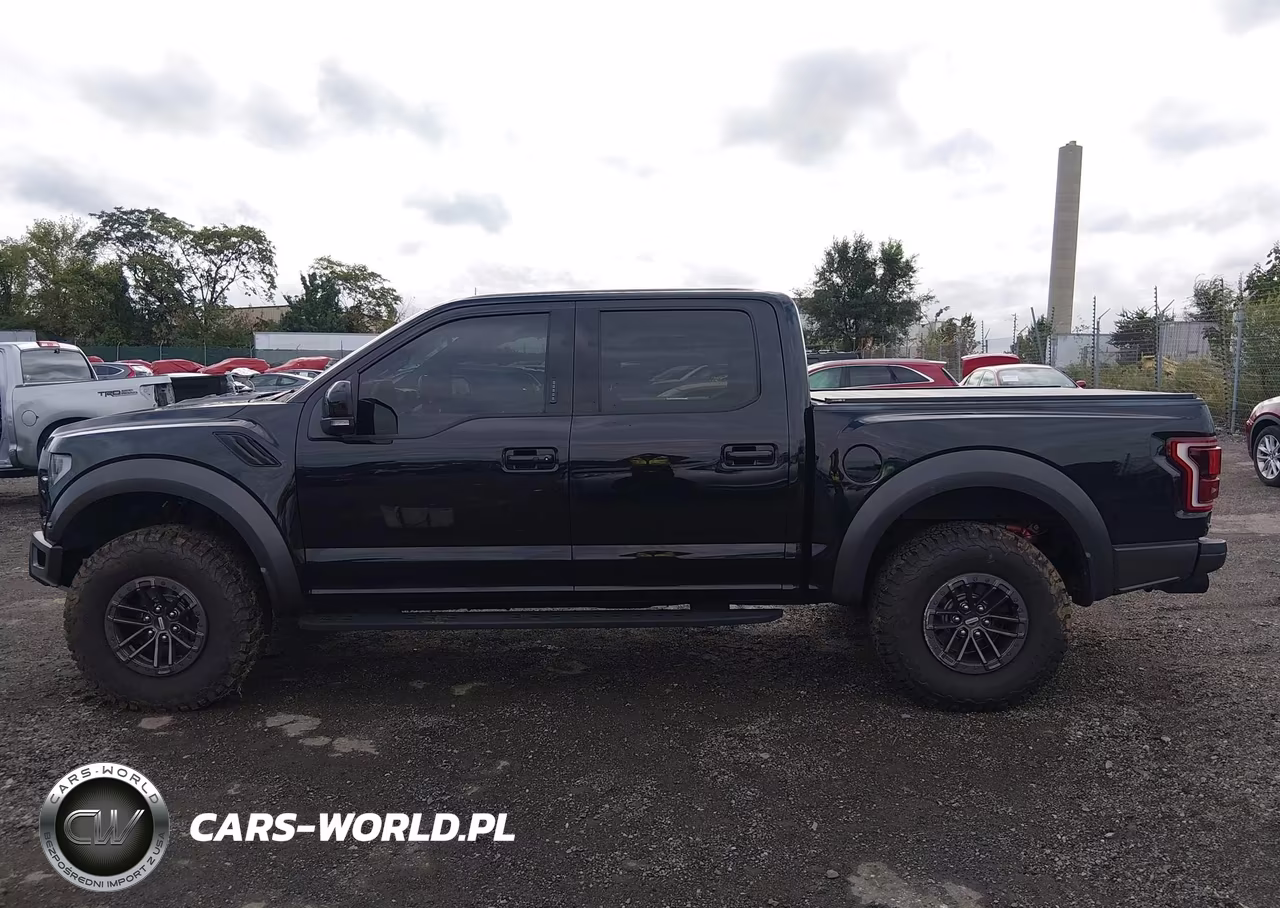 2020 Ford F-150 Raptor VIN:1FTFW1RG7LFB12469 - 14