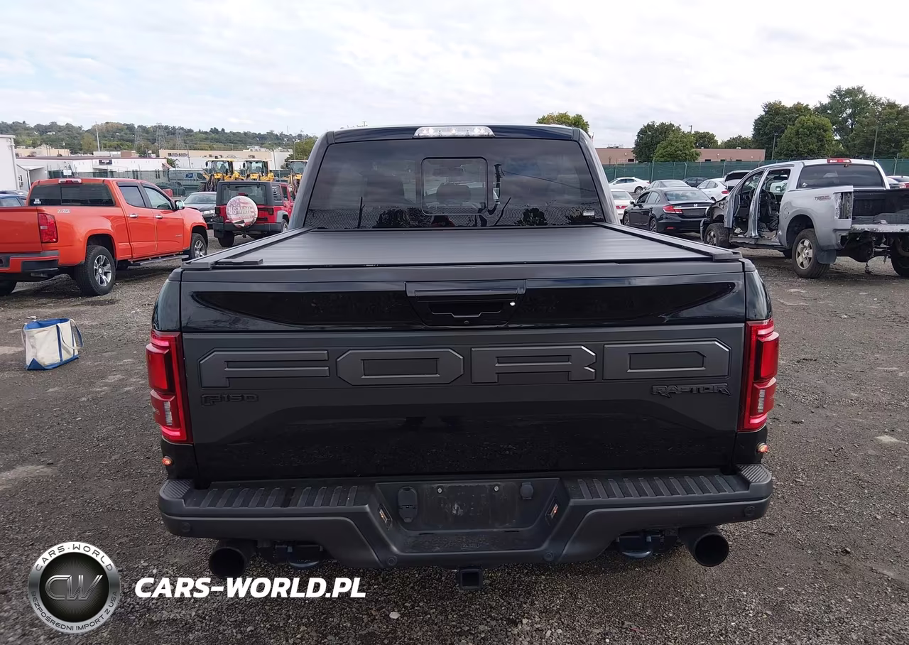 2020 Ford F-150 Raptor VIN:1FTFW1RG7LFB12469 - 16