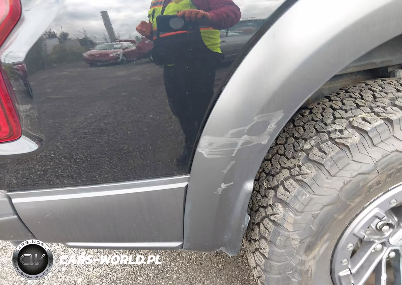 2020 Ford F-150 Raptor VIN:1FTFW1RG7LFB12469 - 17