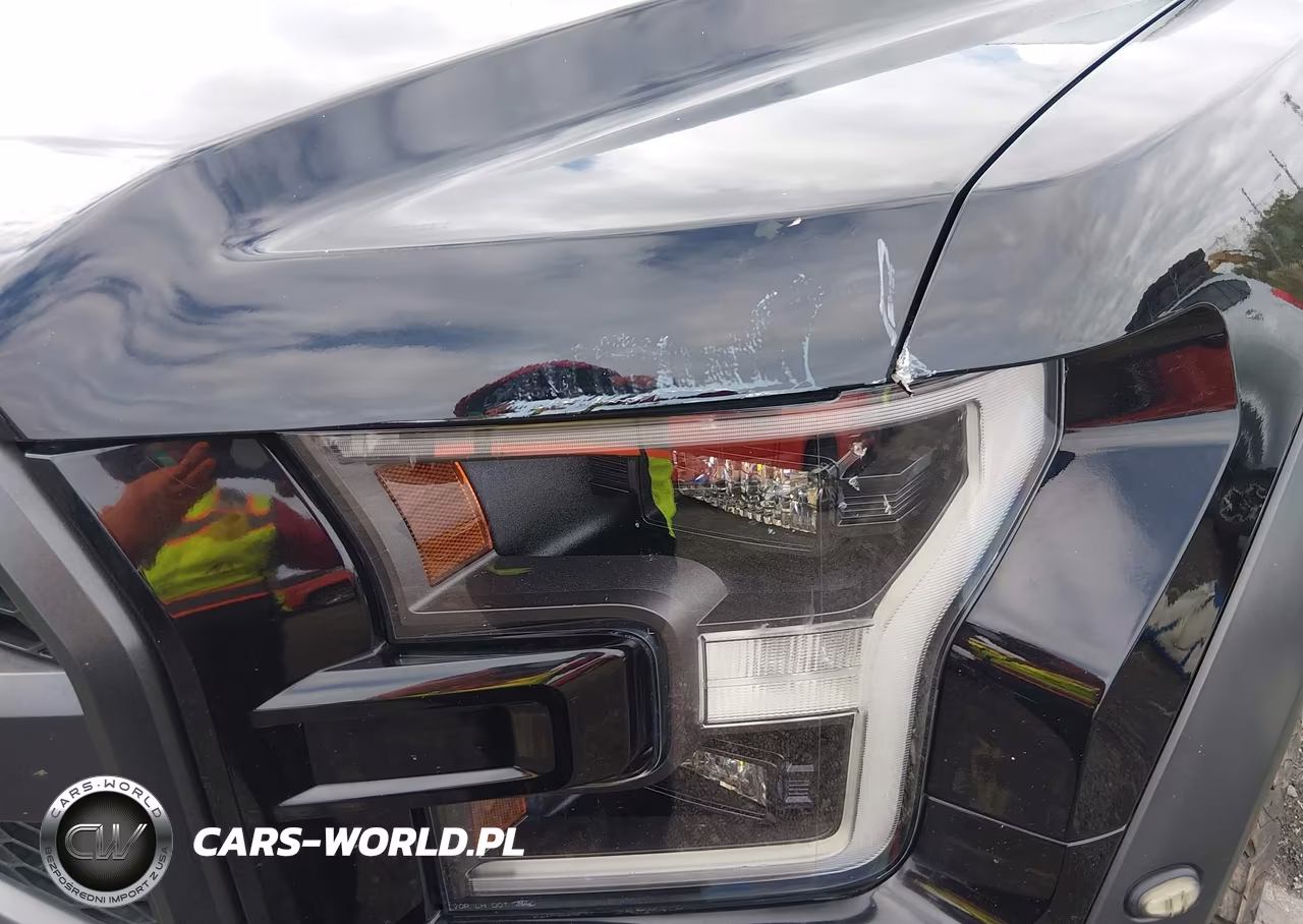 2020 Ford F-150 Raptor VIN:1FTFW1RG7LFB12469 - 18