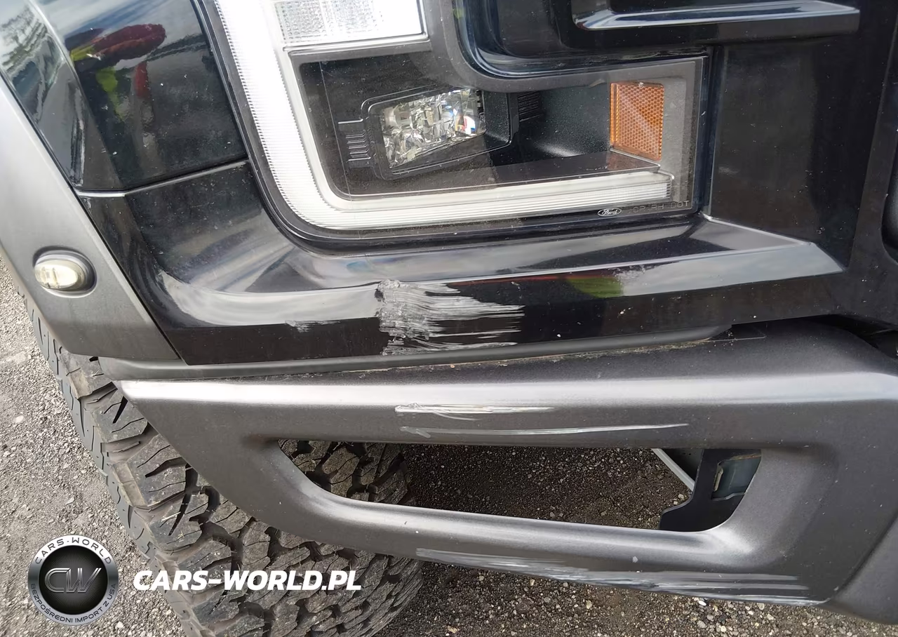 2020 Ford F-150 Raptor VIN:1FTFW1RG7LFB12469 - 19