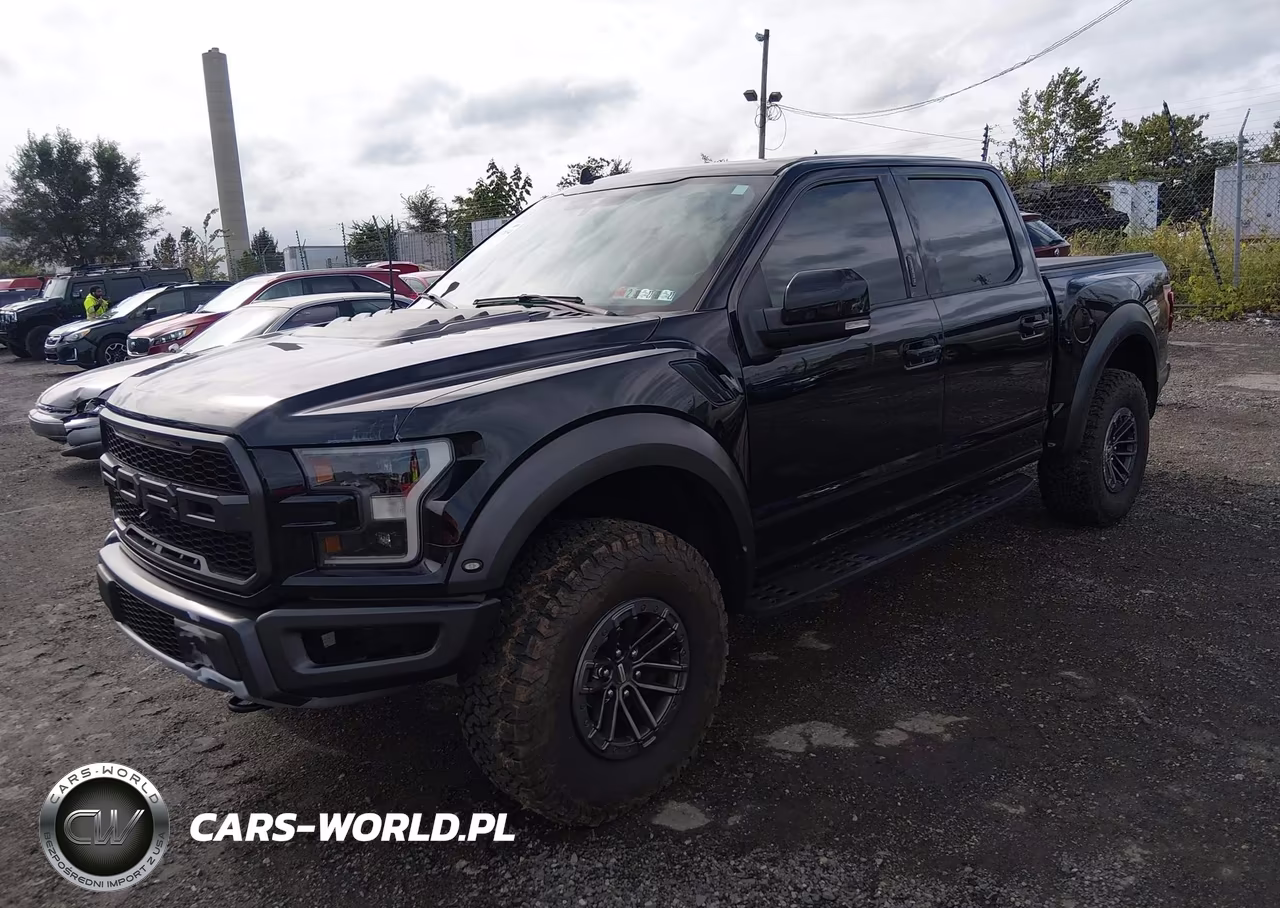 2020 Ford F-150 Raptor VIN:1FTFW1RG7LFB12469 - 2