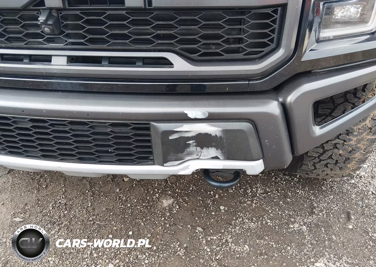 2020 Ford F-150 Raptor VIN:1FTFW1RG7LFB12469 - 20