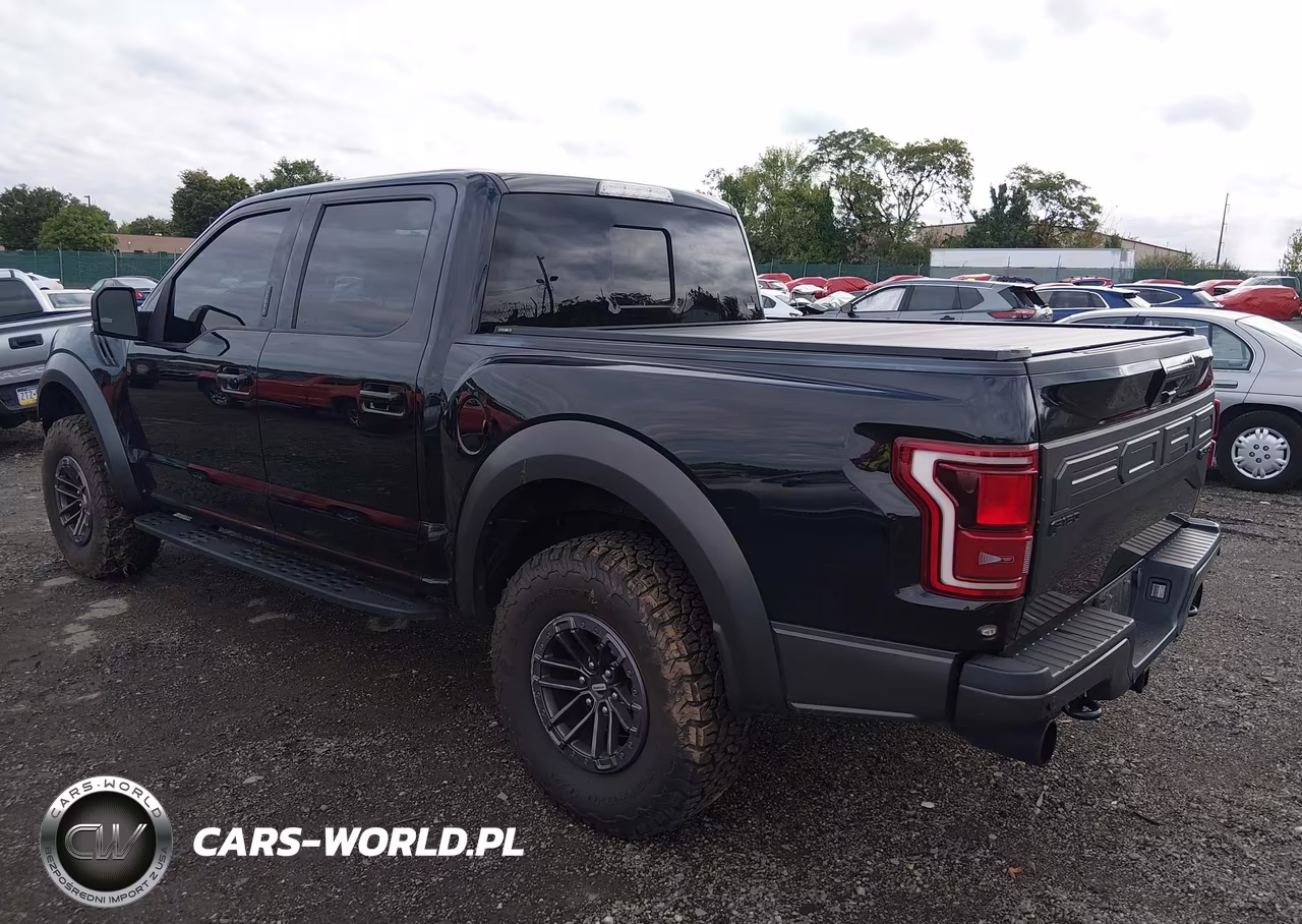 2020 Ford F-150 Raptor VIN:1FTFW1RG7LFB12469 - 3