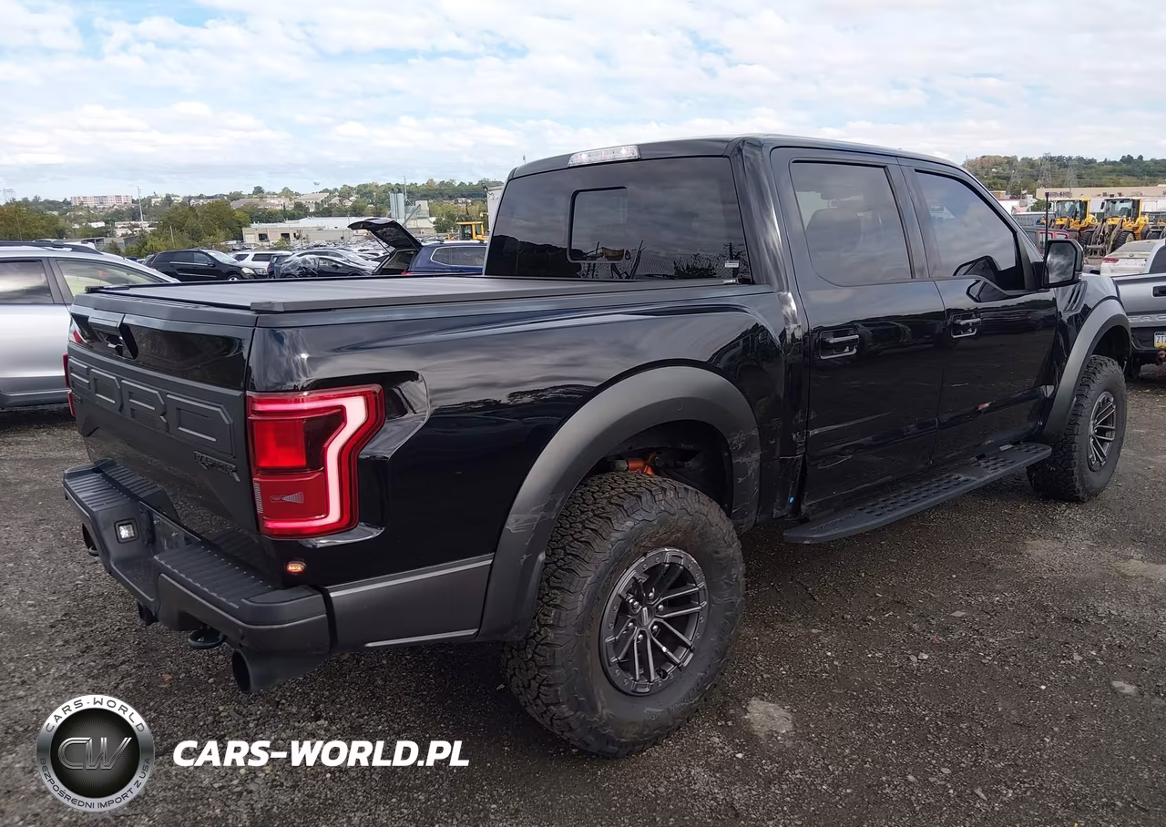 2020 Ford F-150 Raptor VIN:1FTFW1RG7LFB12469 - 4