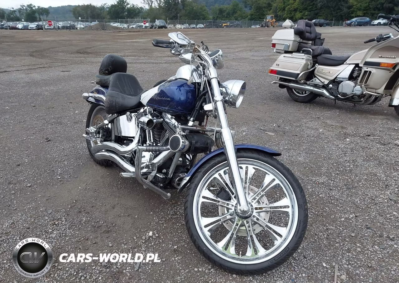 2007 Harley-Davidson Fxstd