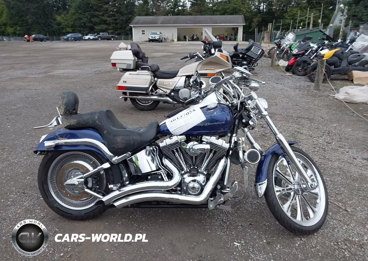 2007 Harley-Davidson Fxstd VIN:1HD1JB5187Y055952 - 11
