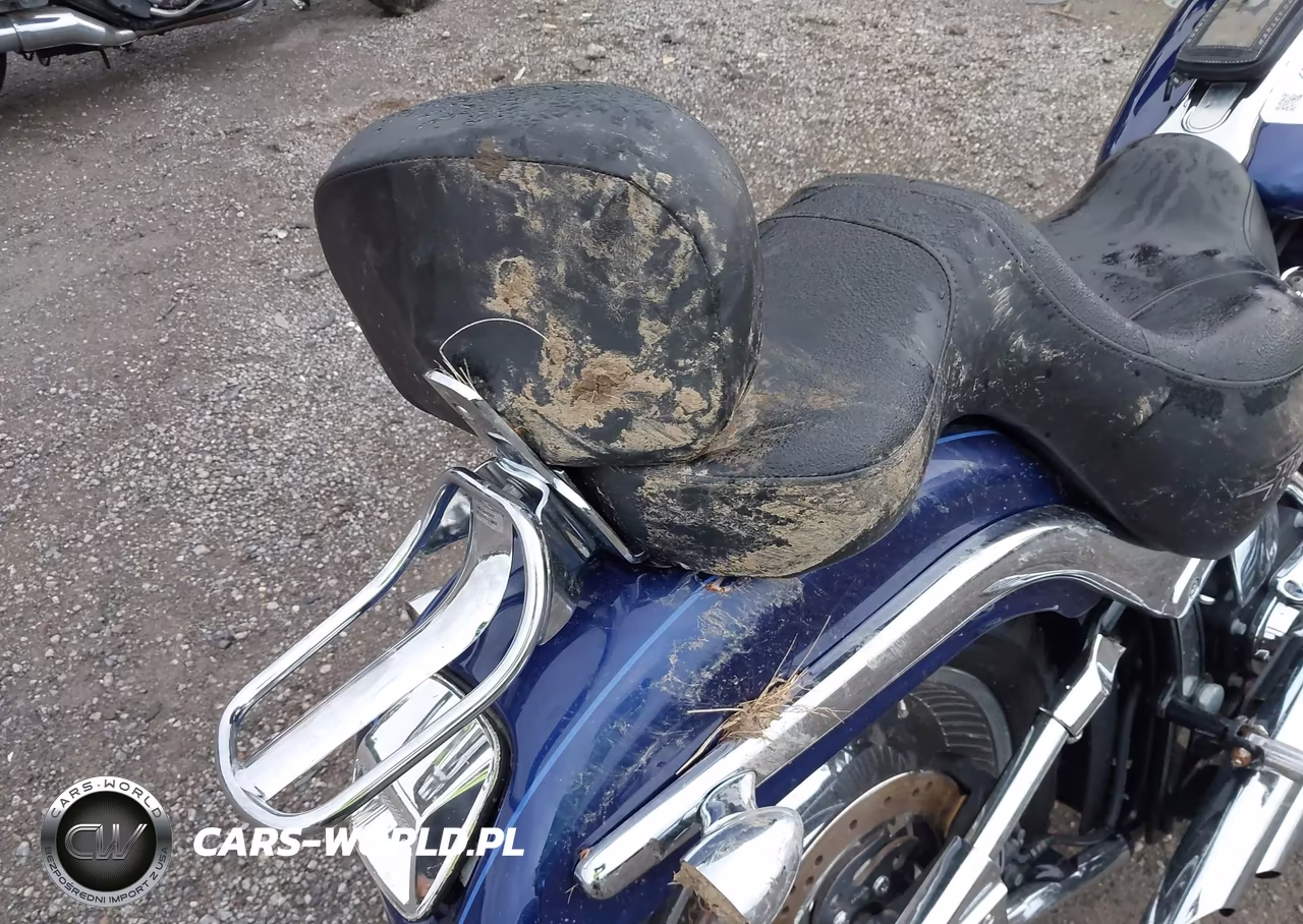 2007 Harley-Davidson Fxstd VIN:1HD1JB5187Y055952 - 16