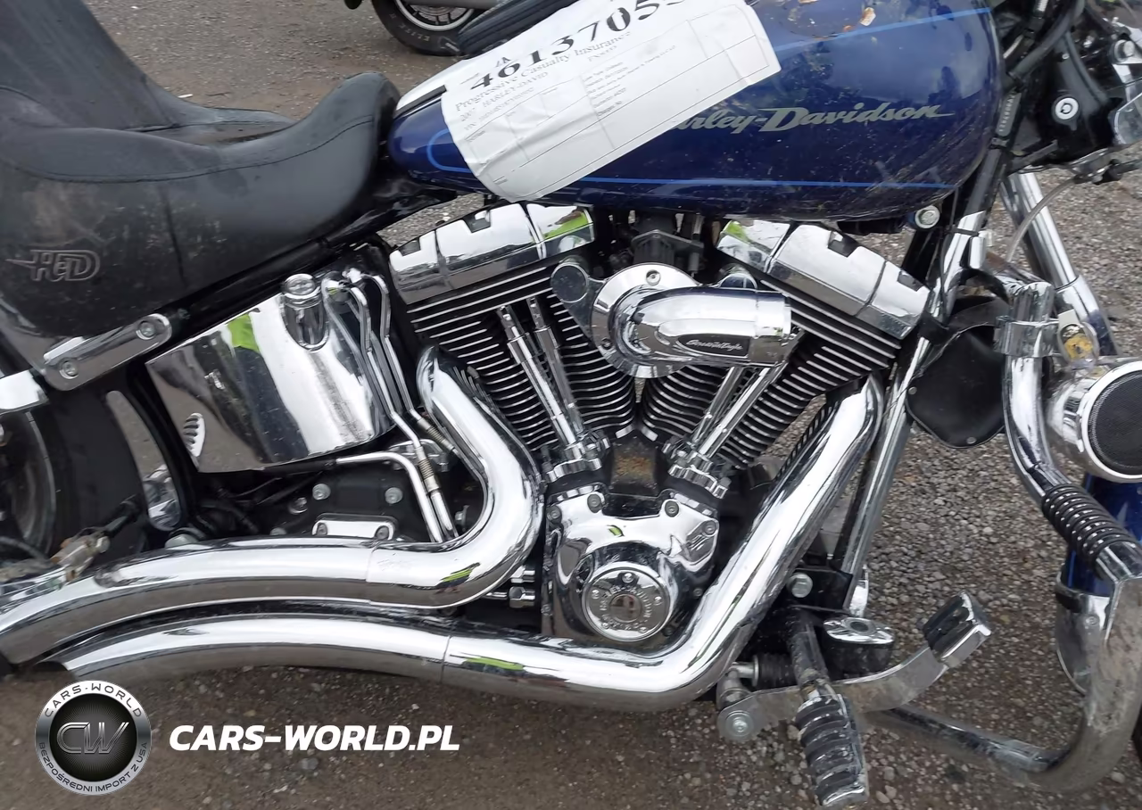 2007 Harley-Davidson Fxstd VIN:1HD1JB5187Y055952 - 8