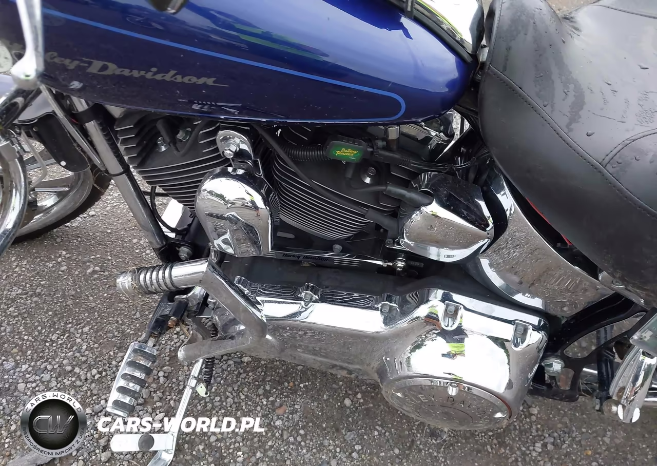 2007 Harley-Davidson Fxstd VIN:1HD1JB5187Y055952 - 9