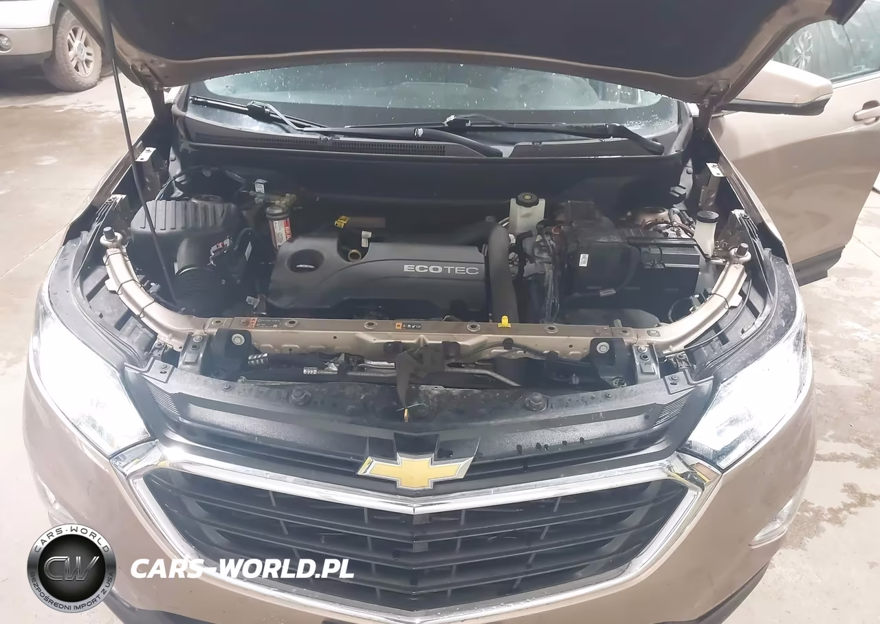 2019 Chevrolet Equinox Lt VIN:2GNAXJEV4K6235271 - 10