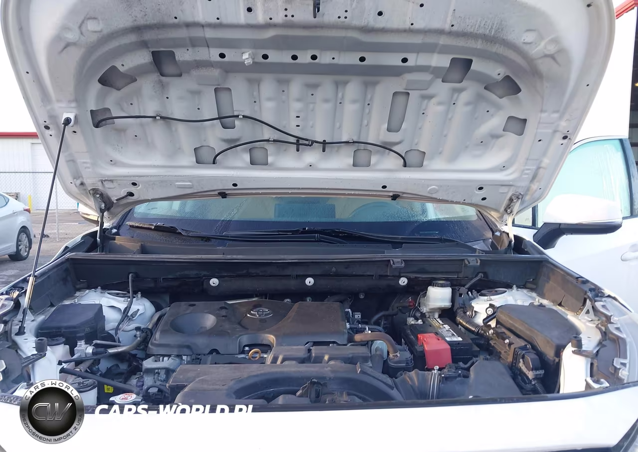 2019 Toyota Rav4 Xle Premium VIN:2T3C1RFV2KC023202 - 10