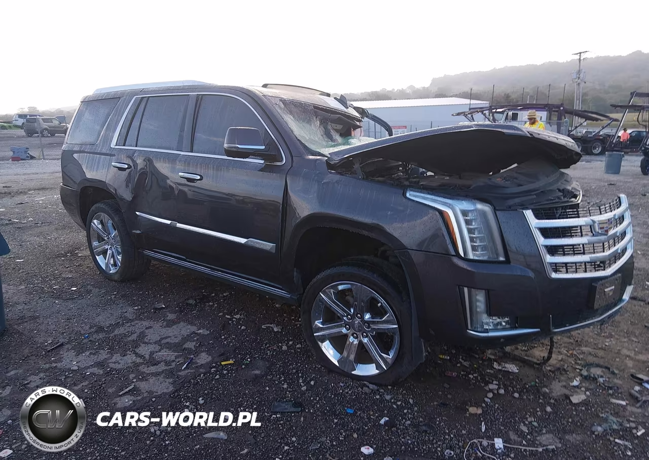 2016 Cadillac Escalade Premium Collection VIN:1GYS4CKJXGR236093 - 1