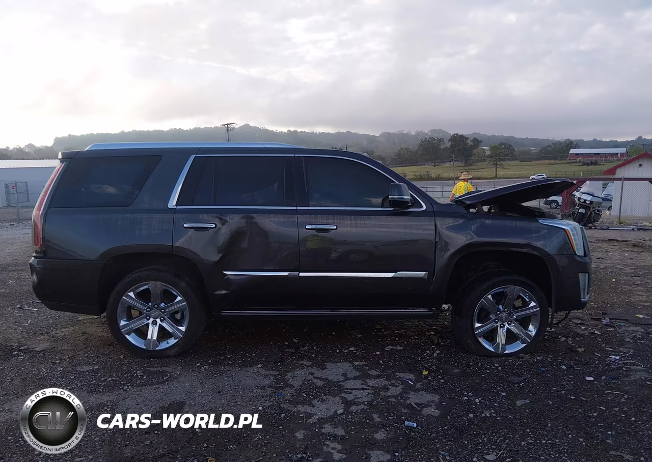 2016 Cadillac Escalade Premium Collection VIN:1GYS4CKJXGR236093 - 12
