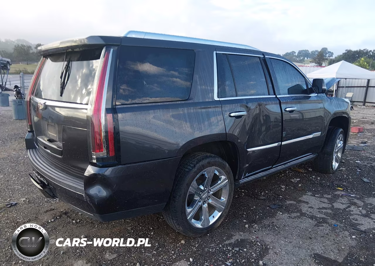 2016 Cadillac Escalade Premium Collection VIN:1GYS4CKJXGR236093 - 4