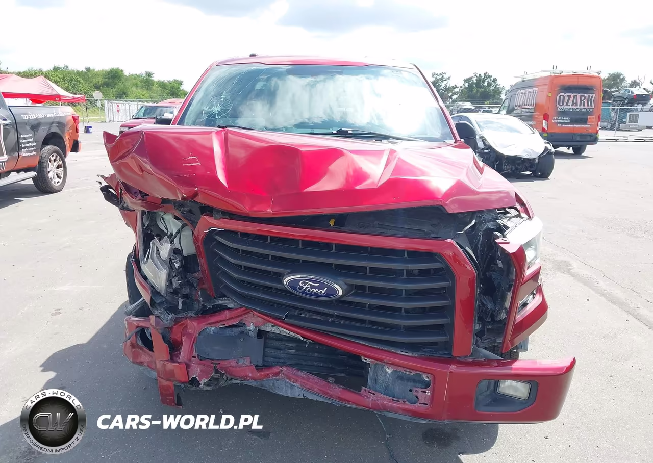 2015 Ford F-150 Xlt VIN:1FTEW1CF5FFB46250 - 13