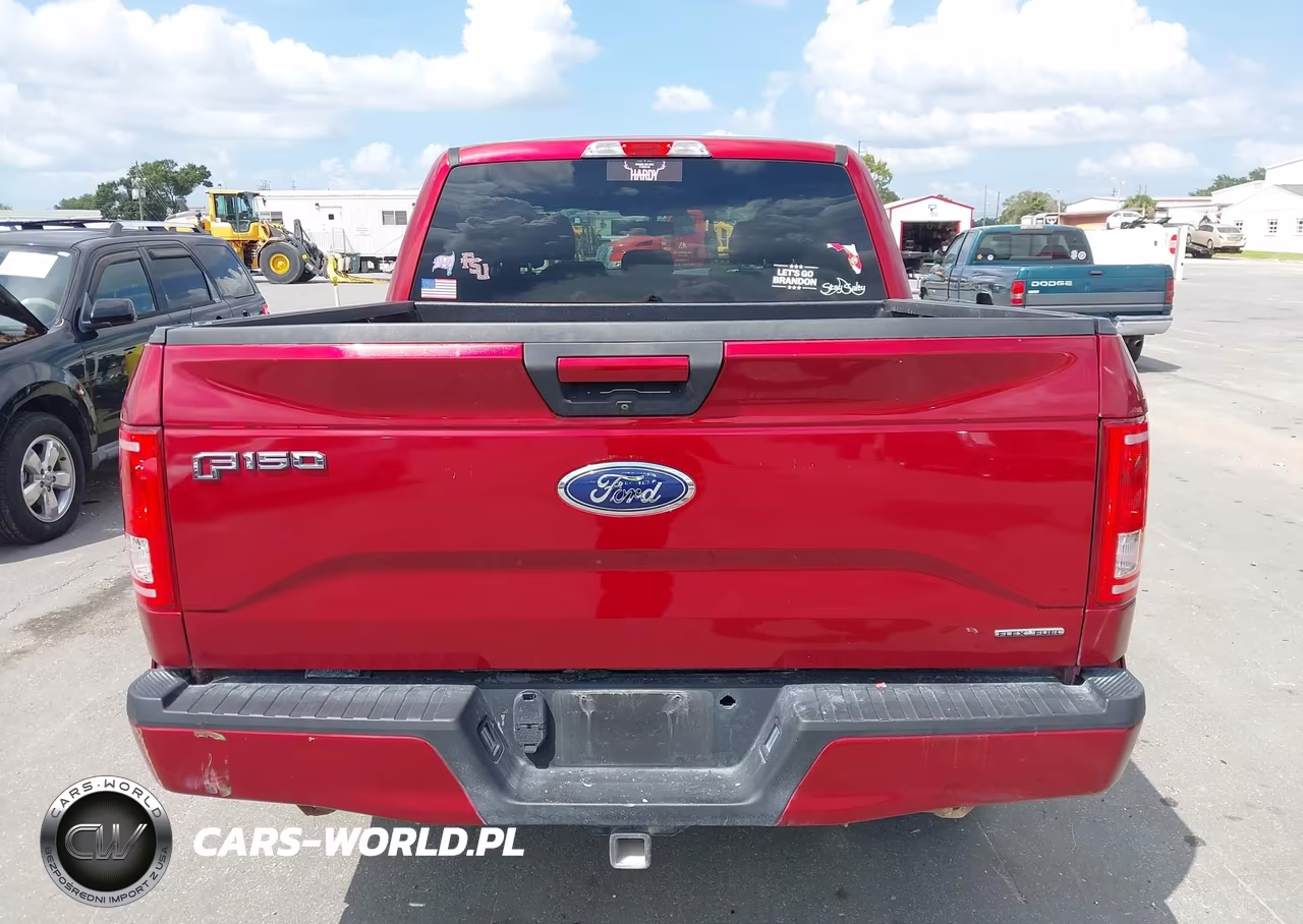2015 Ford F-150 Xlt VIN:1FTEW1CF5FFB46250 - 17