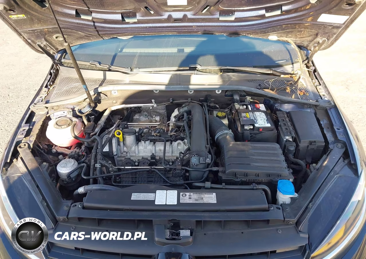 2019 Volkswagen Golf 1.4T S-1.4T Se VIN:3VWG57AU1KM029711 - 10