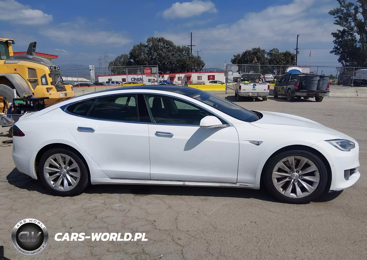 2016 Tesla Model S 60-70-75-85 VIN:5YJSA1E19GF147362 - 13