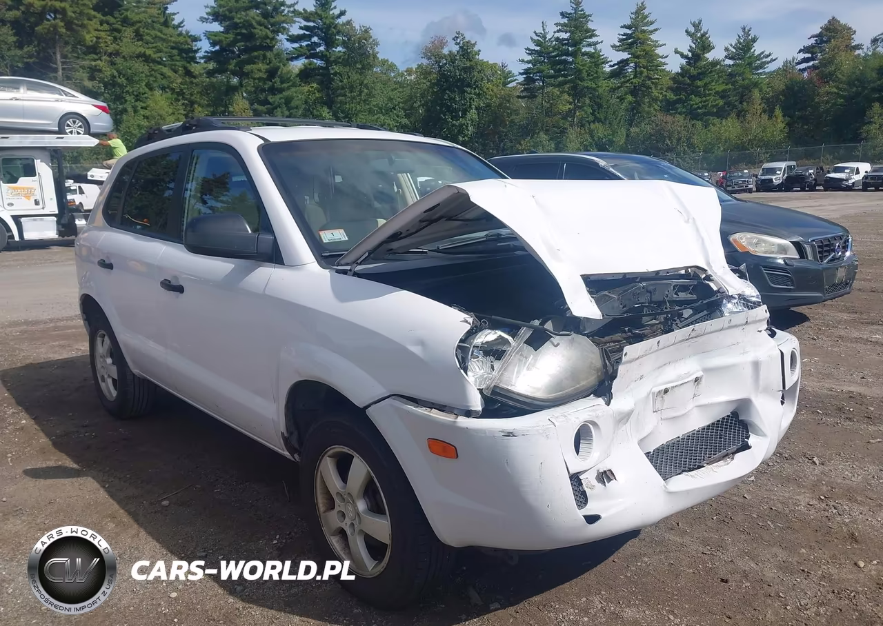 2006 Hyundai Tucson Gl VIN:KM8JM12B16U375230 - 12