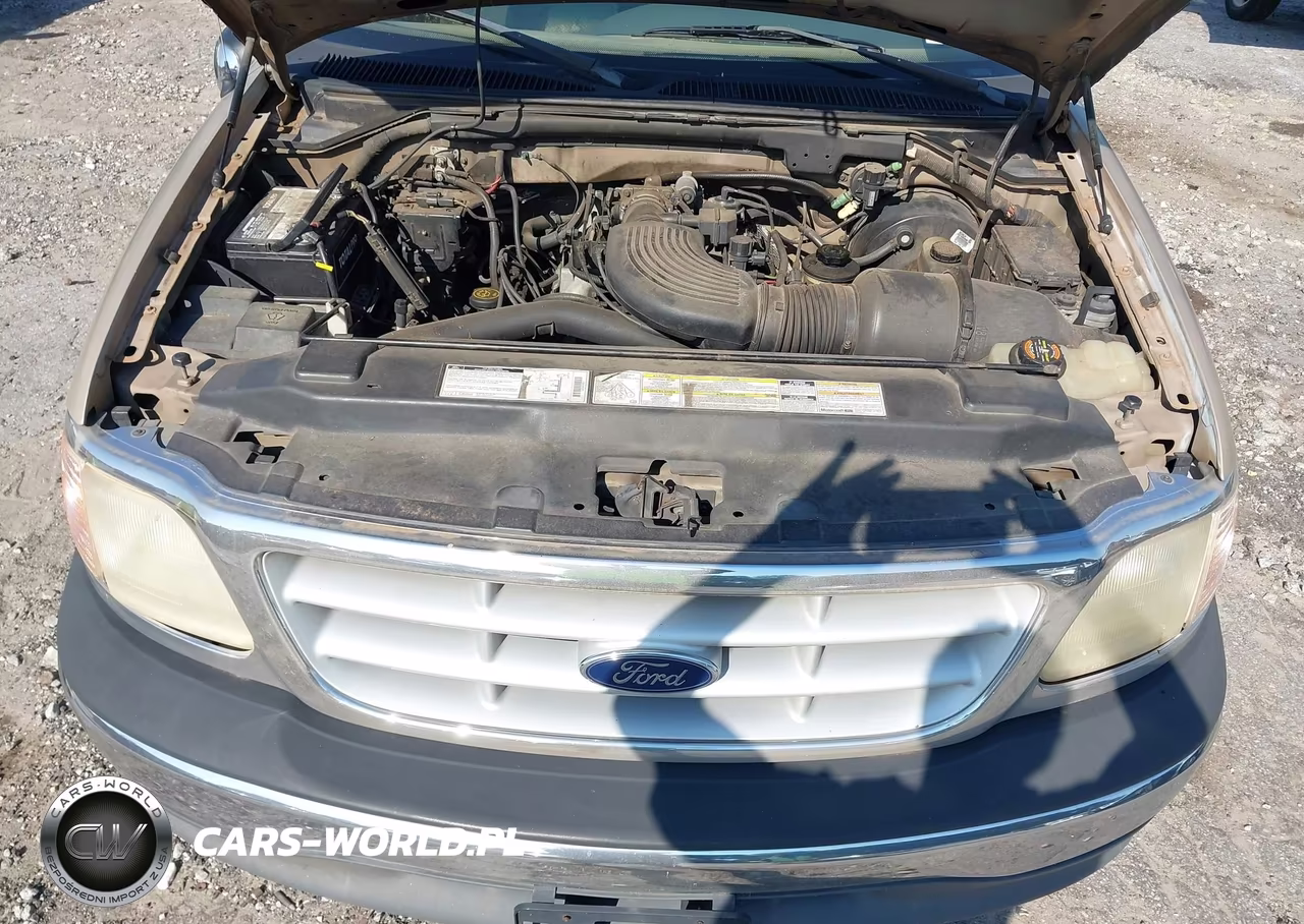 1999 Ford F-150 Lariat-Work Series-Xl-Xlt VIN:1FTRF17W3XNC11101 - 10