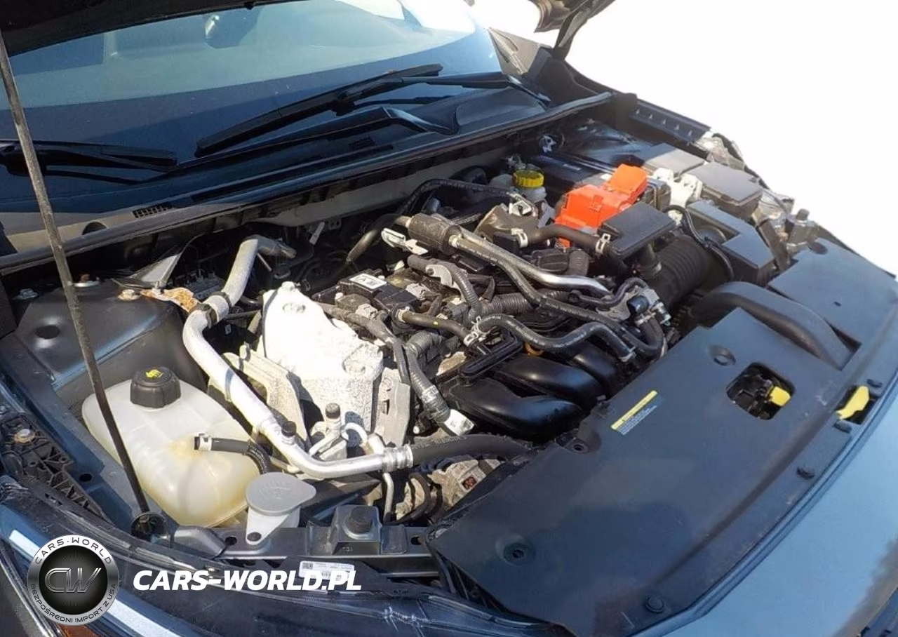 2024 Nissan Sentra Sv Xtronic Cvt VIN:3N1AB8CV3RY235292 - 10