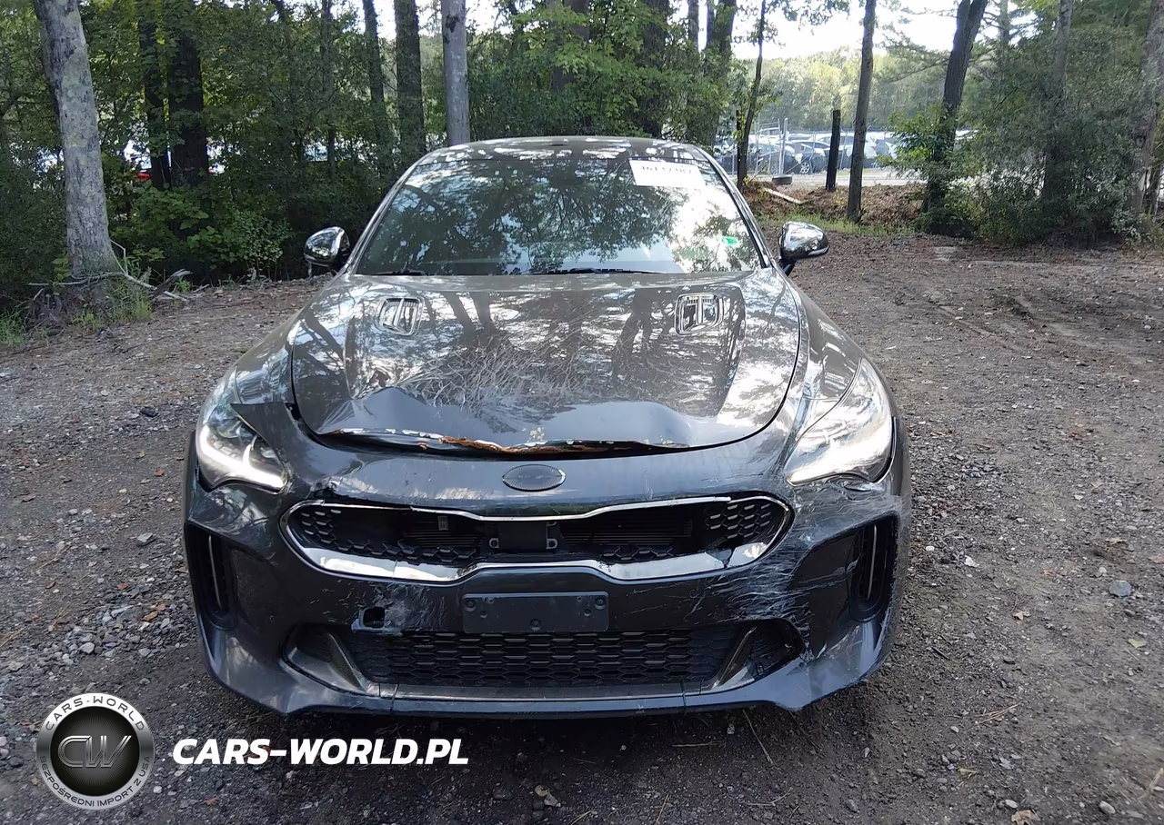 2021 Kia Stinger Gt1 VIN:KNAE45LC2M6091463 - 12
