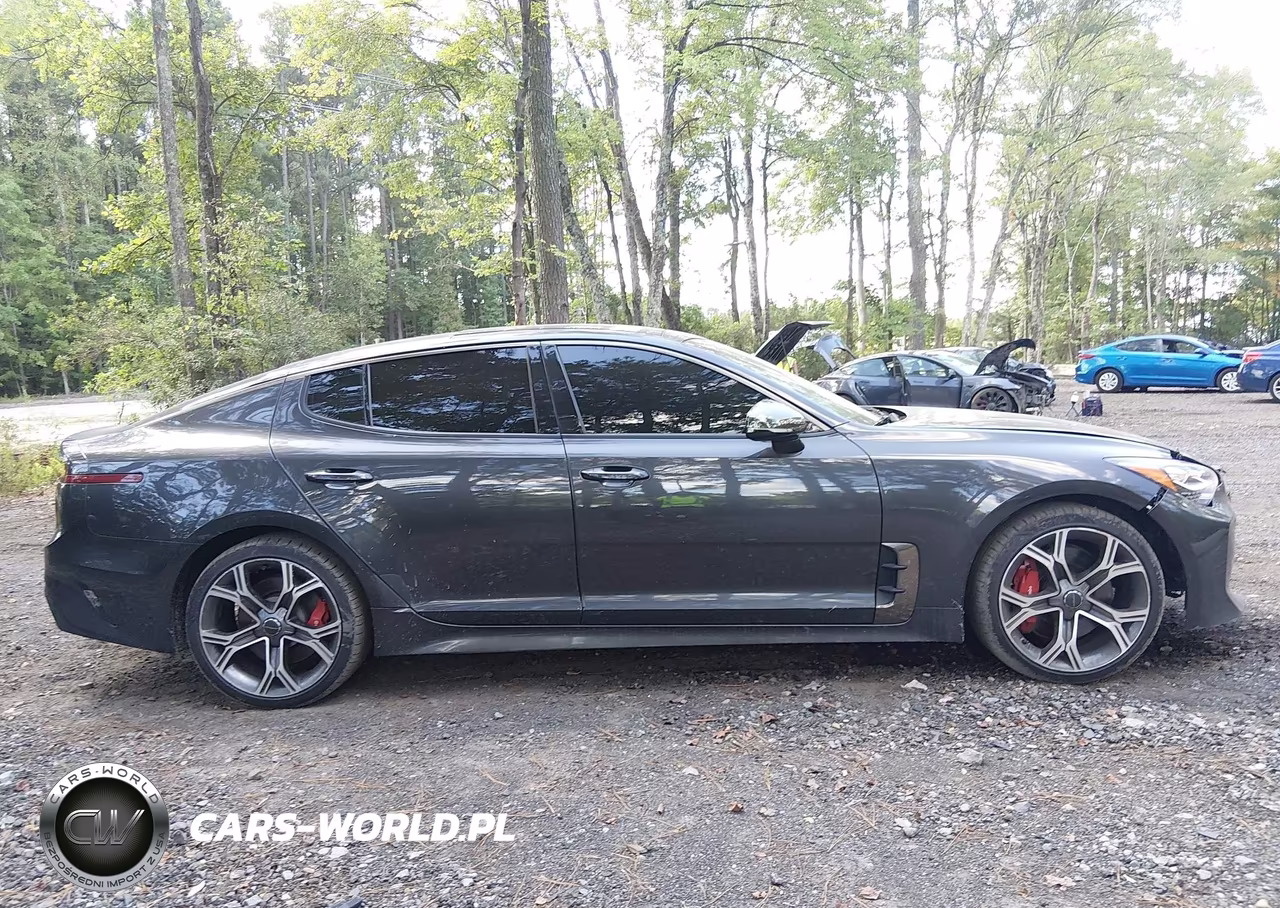 2021 Kia Stinger Gt1 VIN:KNAE45LC2M6091463 - 13