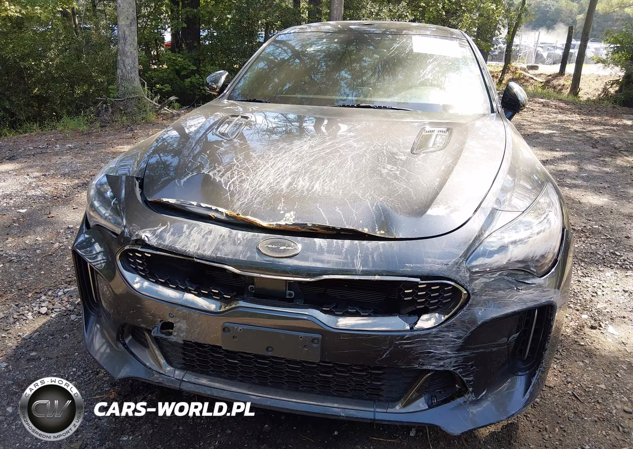 2021 Kia Stinger Gt1 VIN:KNAE45LC2M6091463 - 6