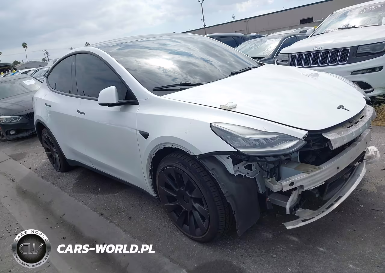 2020 Tesla Model Y Long Range Dual Motor All-Wheel Drive VIN:5YJYGDEE5LF011110 - 1