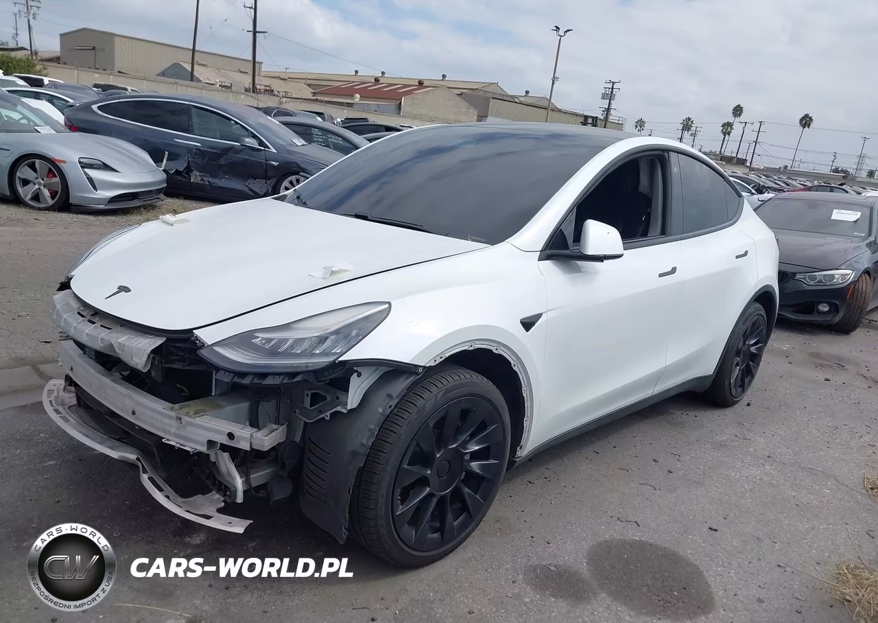 2020 Tesla Model Y Long Range Dual Motor All-Wheel Drive VIN:5YJYGDEE5LF011110 - 2