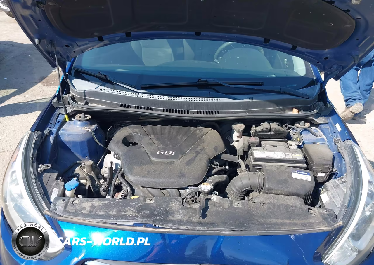 2016 Hyundai Accent Se VIN:KMHCT5AE4GU252666 - 10