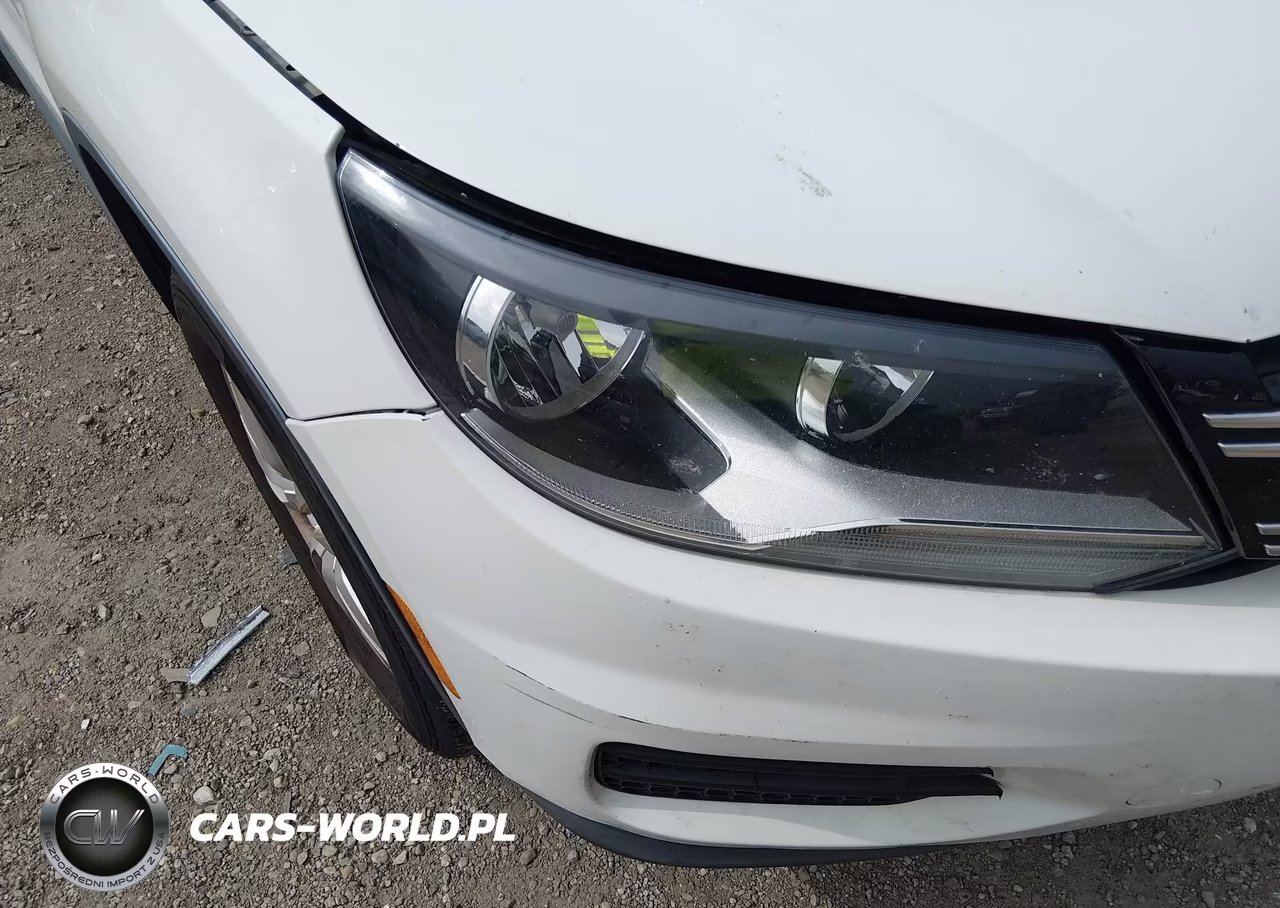 2014 Volkswagen Tiguan S VIN:WVGAV3AX5EW519399 - 12