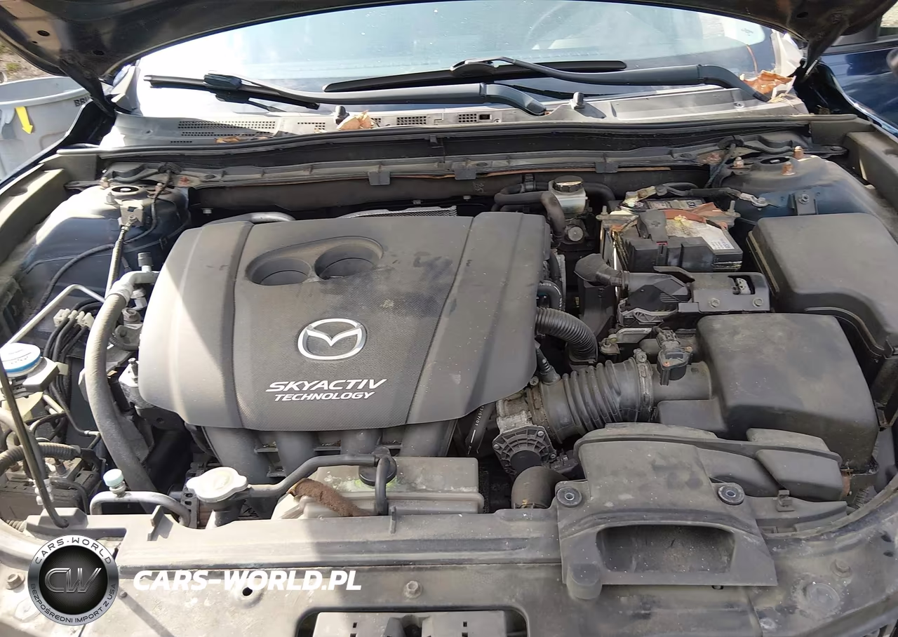 2014 Mazda Mazda3 I Sport VIN:JM1BM1U75E1136006 - 10