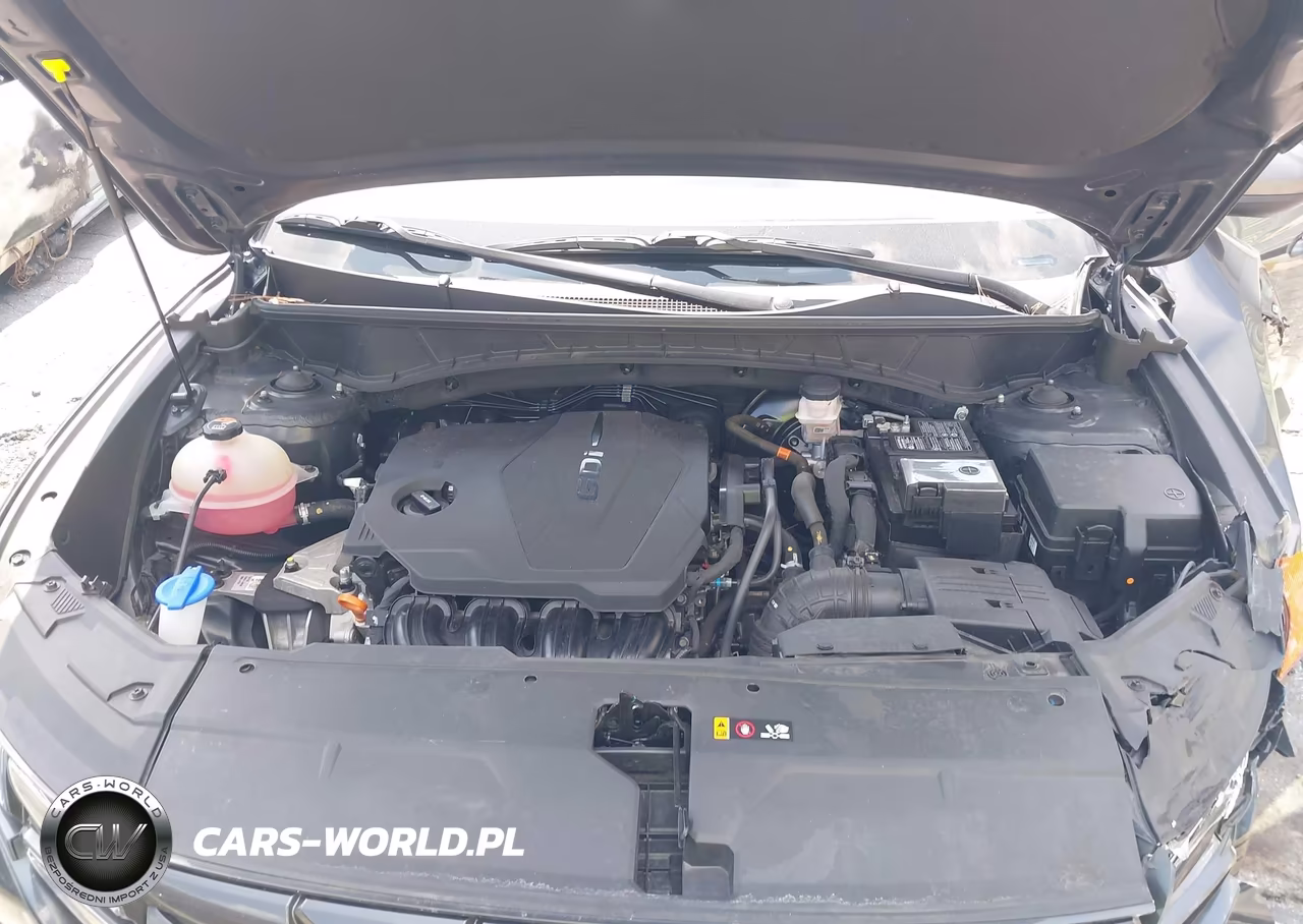 2024 Hyundai Tucson Sel VIN:5NMJBCDE3RH356803 - 10
