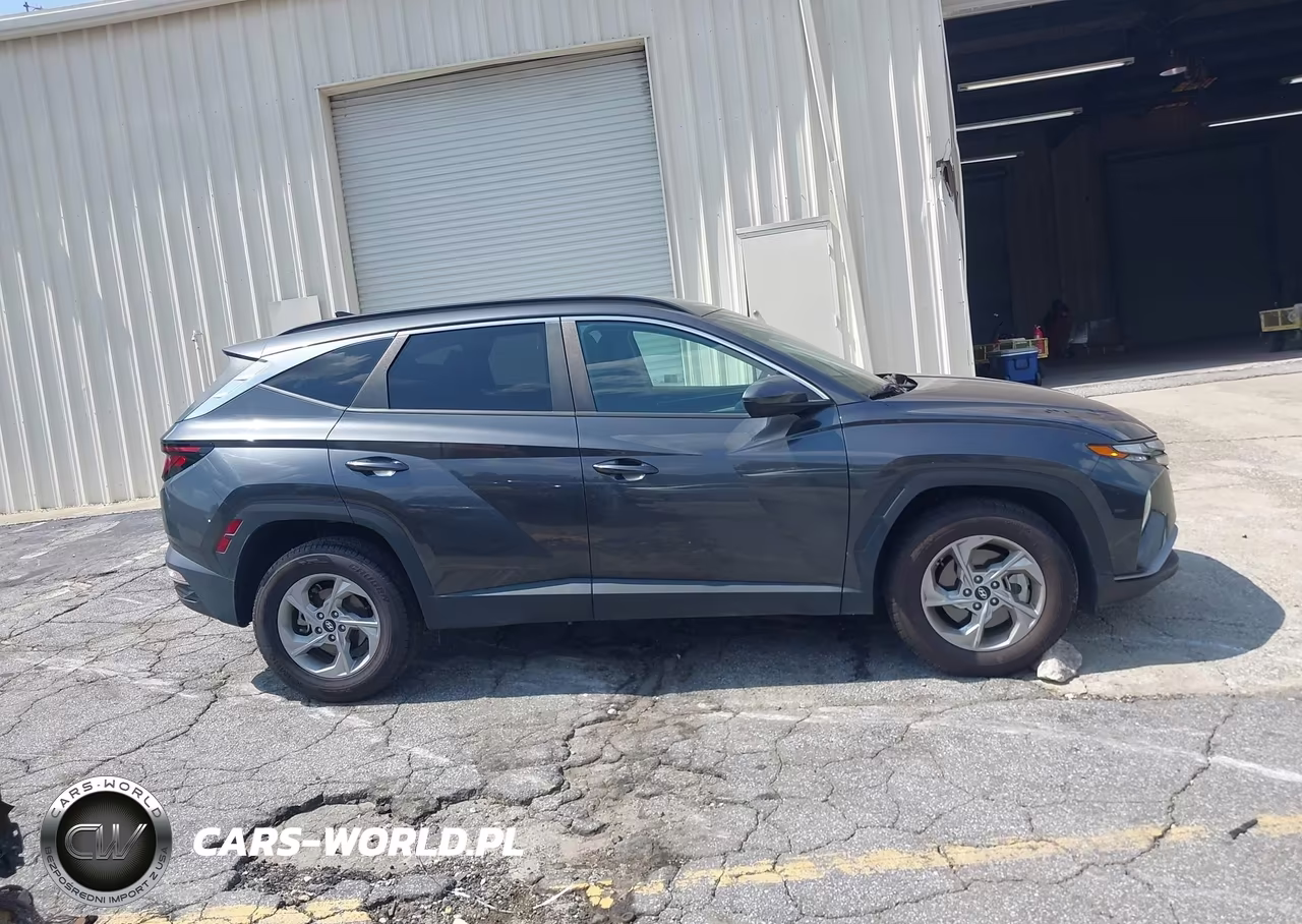 2024 Hyundai Tucson Sel VIN:5NMJBCDE3RH356803 - 13