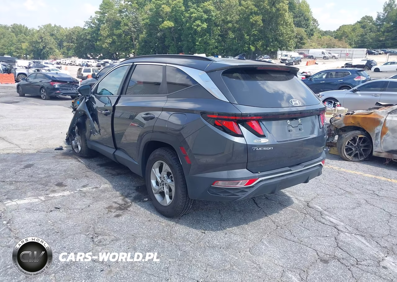 2024 Hyundai Tucson Sel VIN:5NMJBCDE3RH356803 - 3