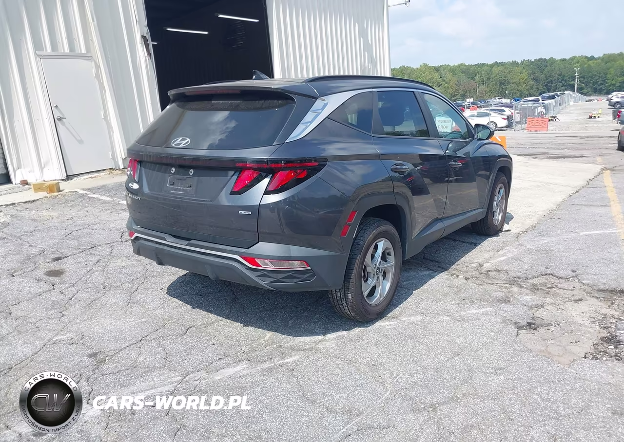 2024 Hyundai Tucson Sel VIN:5NMJBCDE3RH356803 - 4