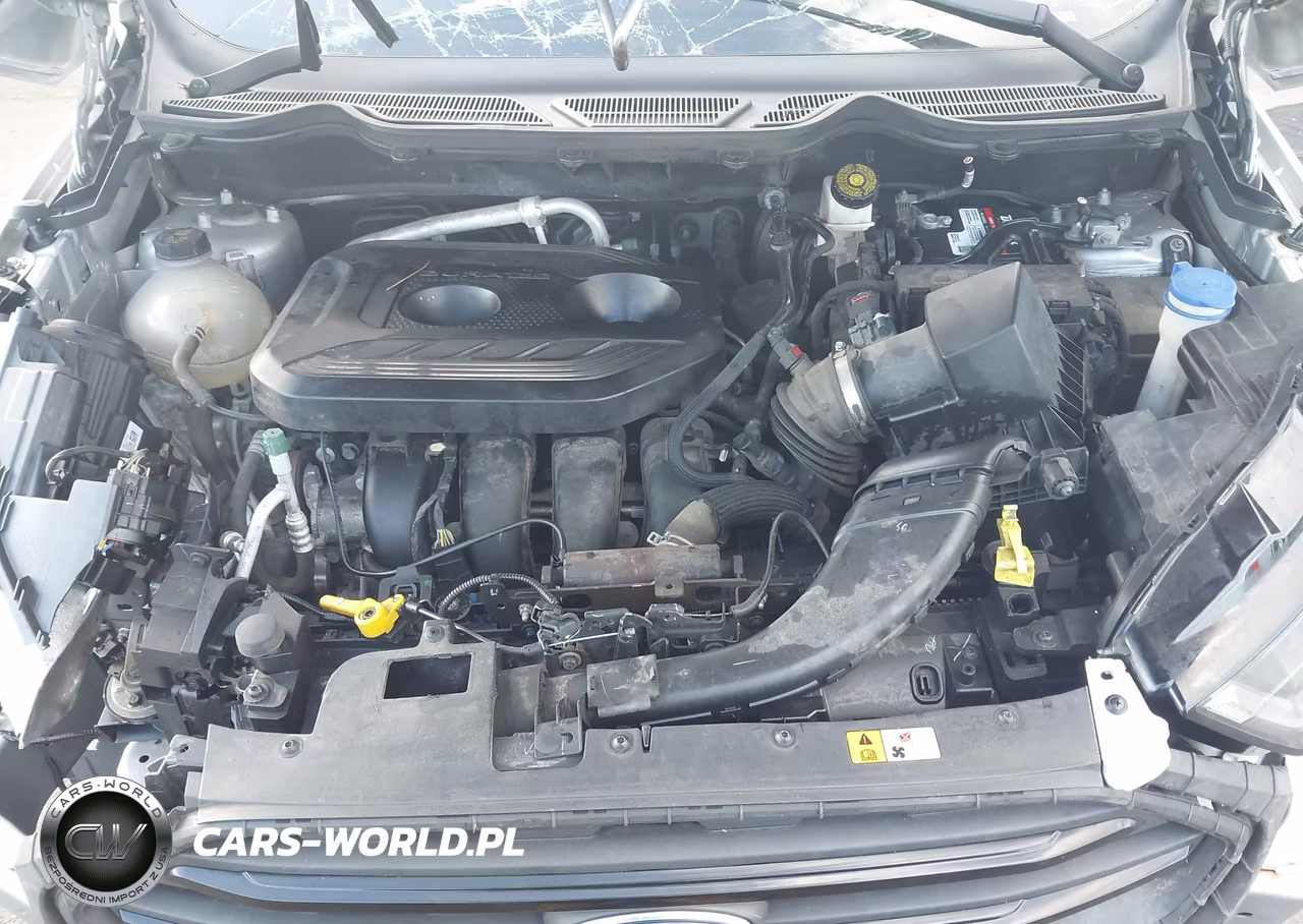2021 Ford Ecosport Ses VIN:MAJ6S3JL0MC400228 - 10