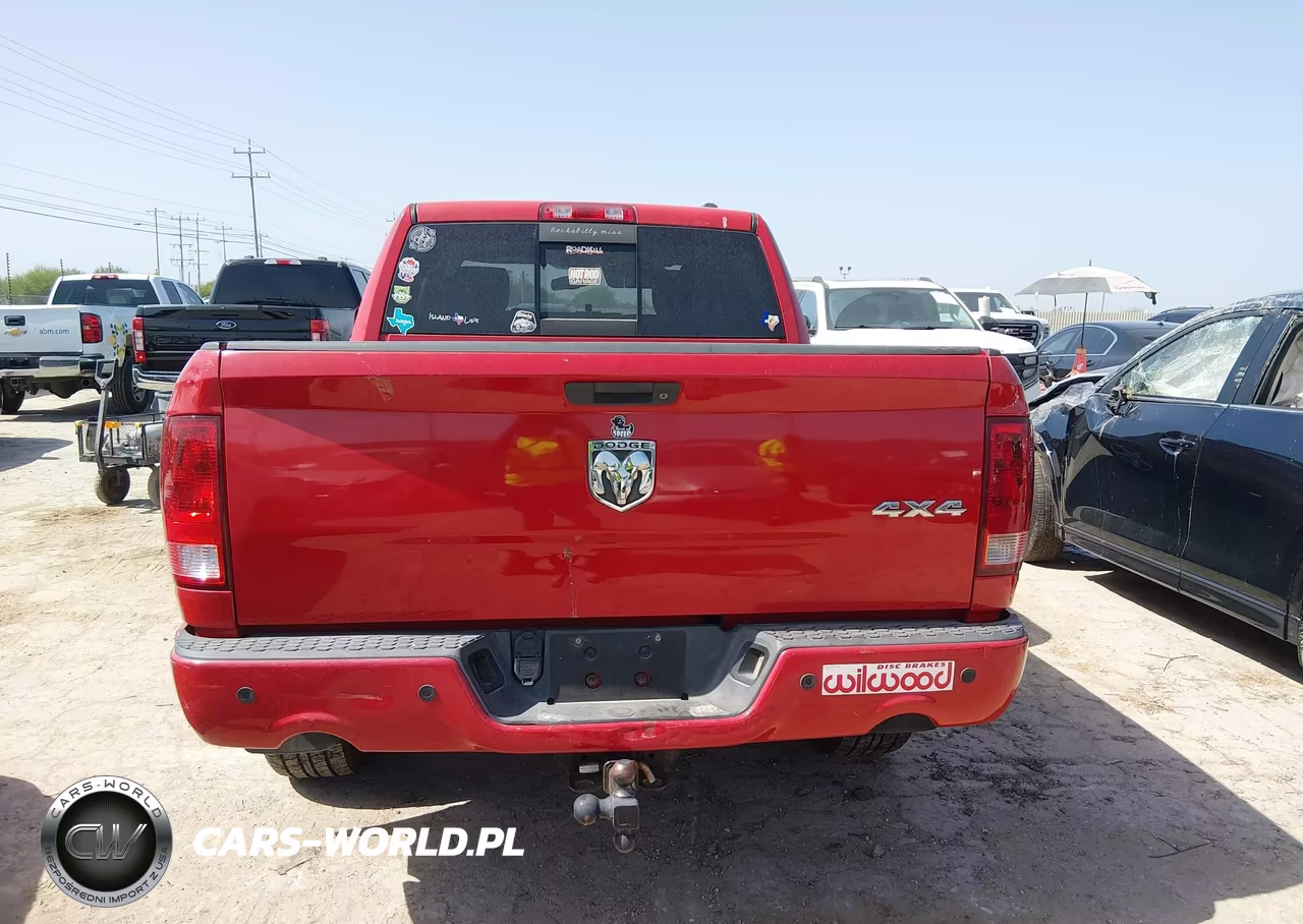 2010 Dodge Ram 1500 Sport VIN:1D7RV1CT9AS236923 - 16
