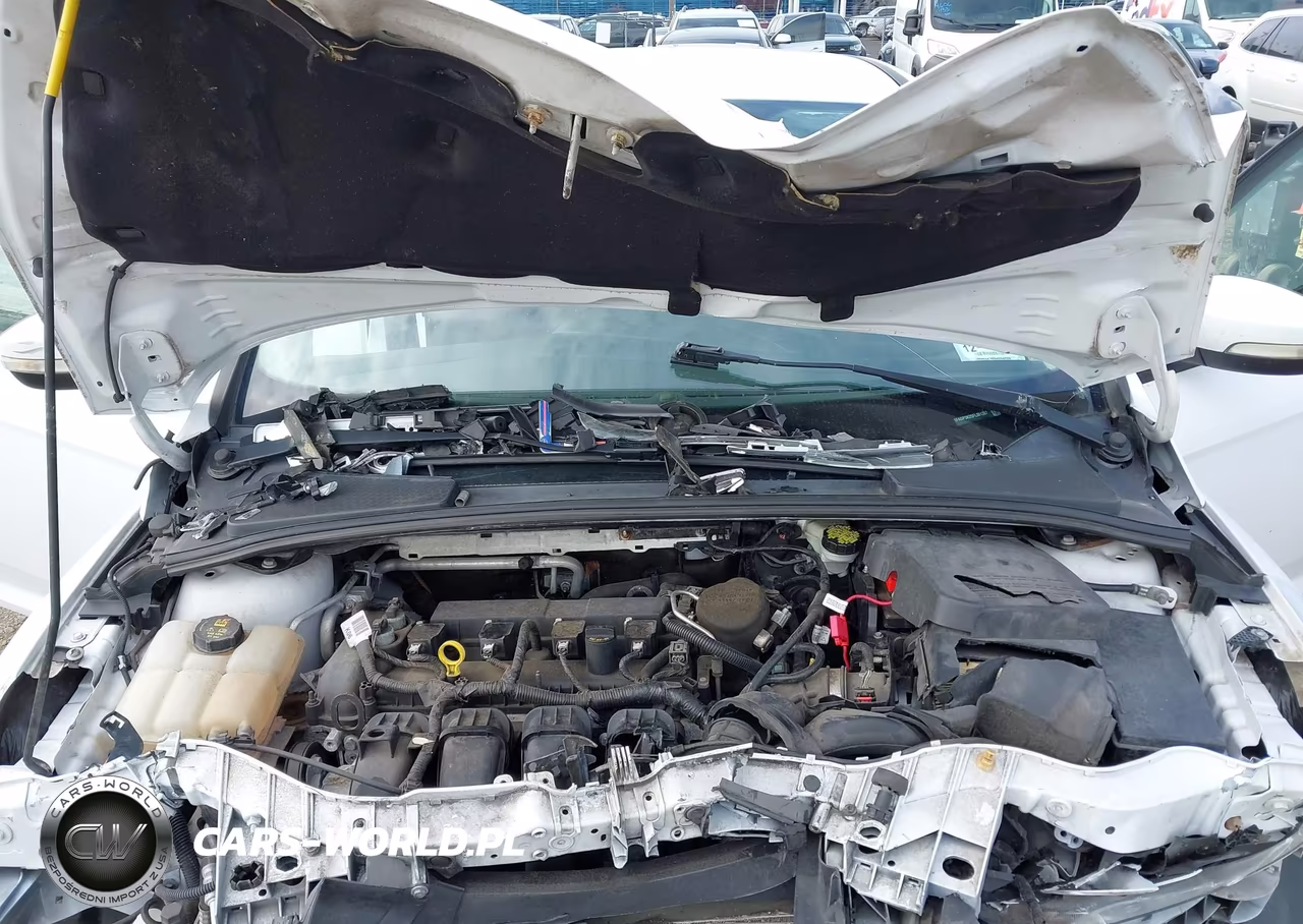 2015 Ford Focus Se VIN:1FADP3K25FL301387 - 10