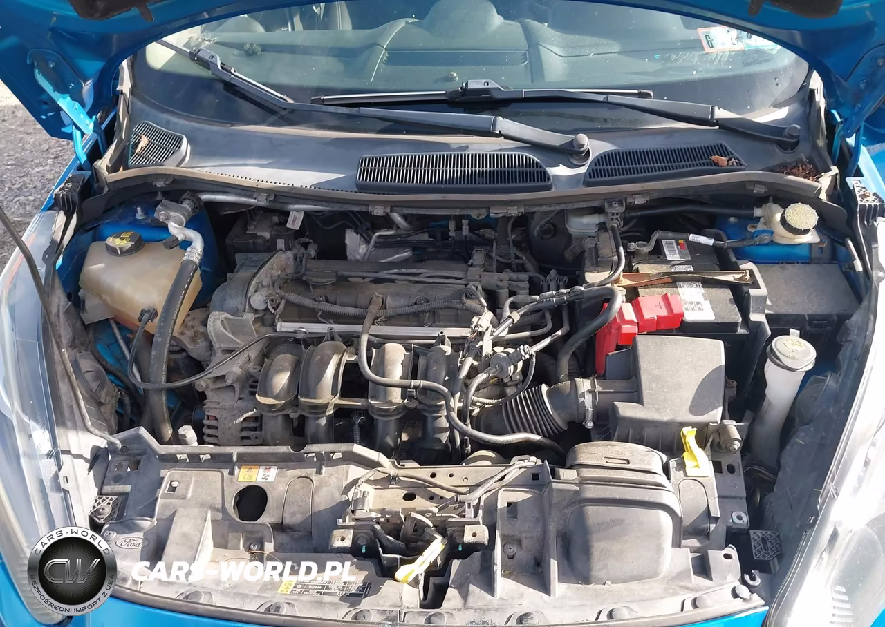 2014 Ford Fiesta Se VIN:3FADP4BJ9EM165288 - 10