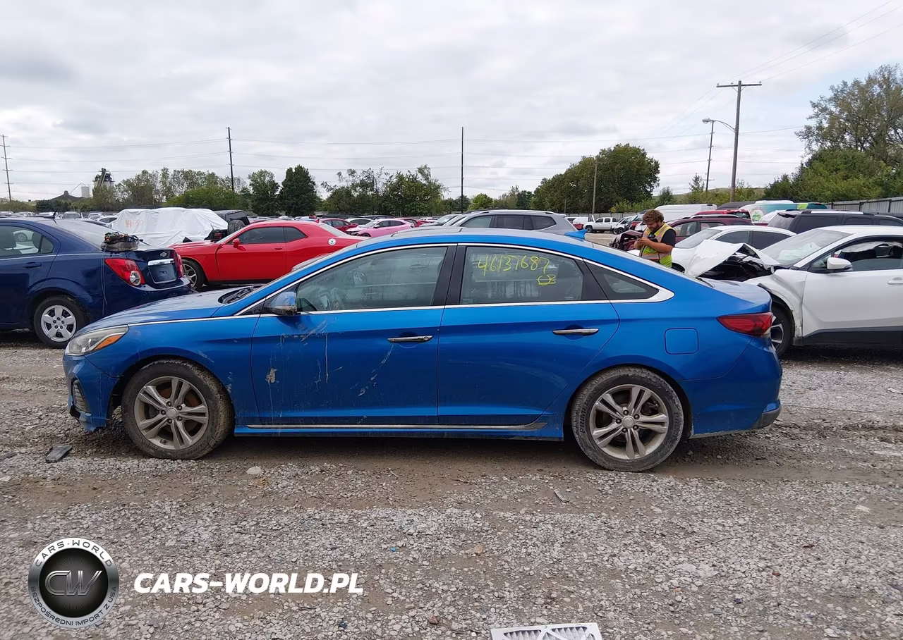 2018 Hyundai Sonata Sport VIN:5NPE34AF8JH646463 - 14