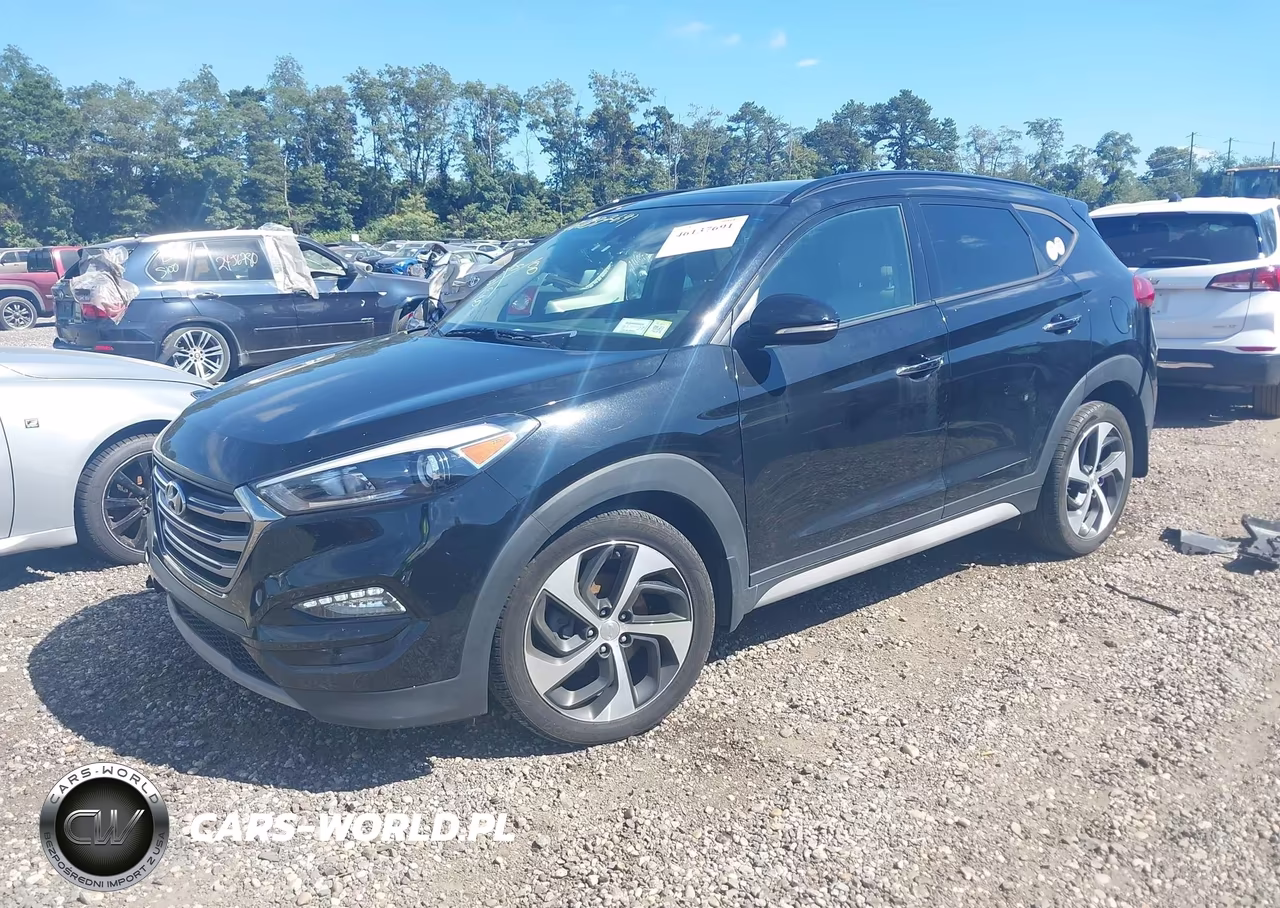 2018 Hyundai Tucson Limited VIN:KM8J3CA28JU684976 - 2