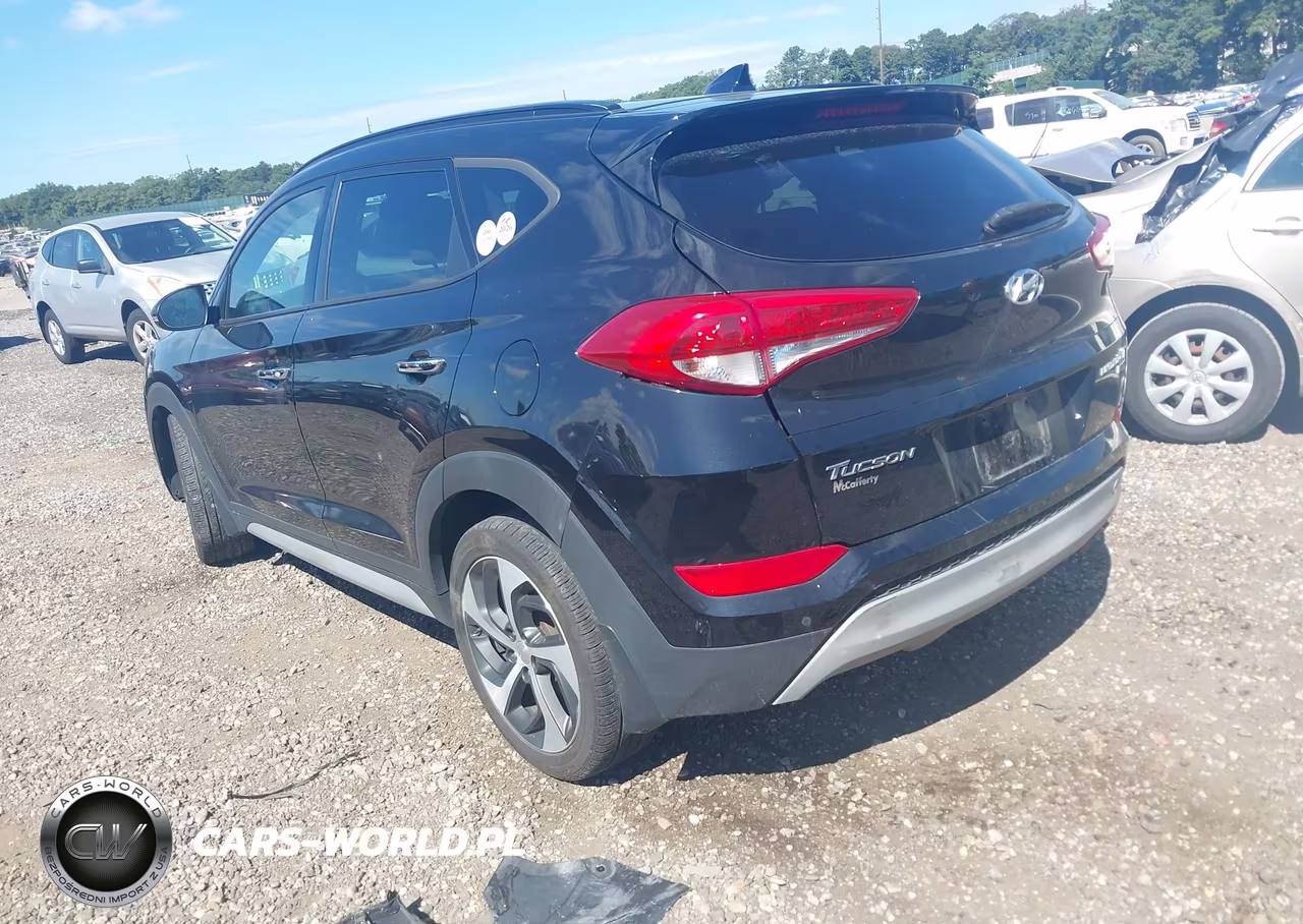 2018 Hyundai Tucson Limited VIN:KM8J3CA28JU684976 - 3