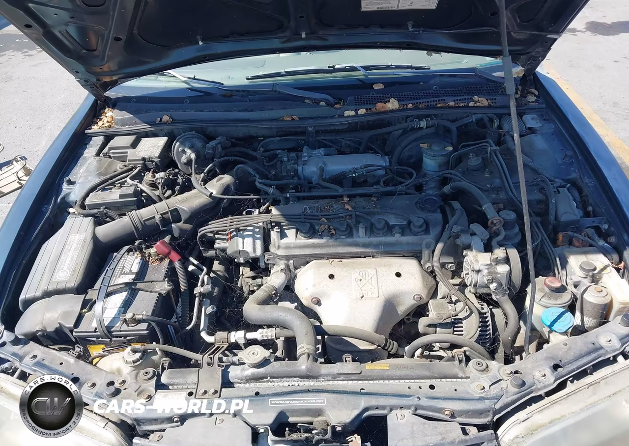 1995 Honda Accord Ex VIN:1HGCD5650SA103256 - 10