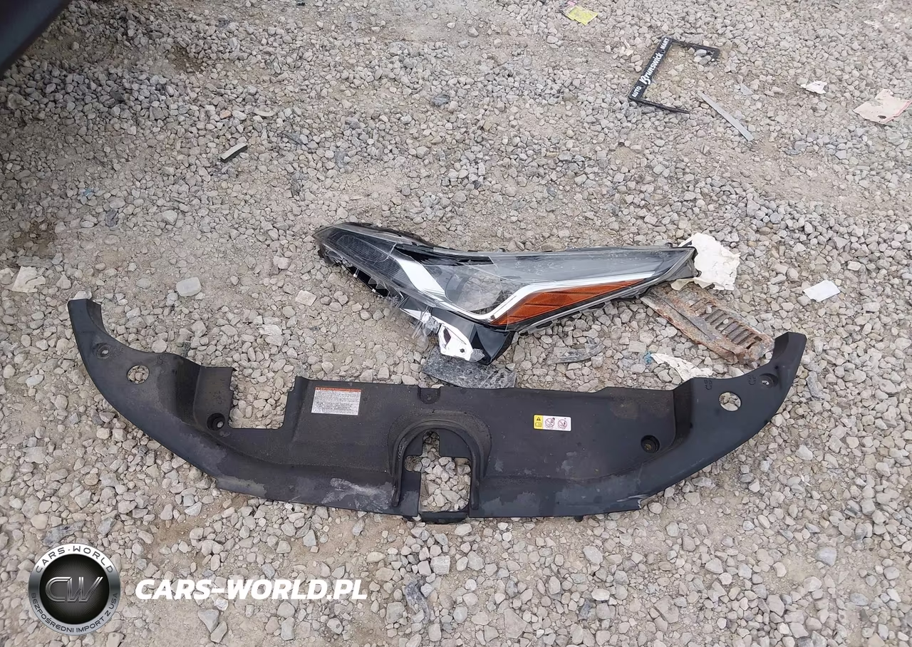 2019 Toyota Prius Xle VIN:JTDL9RFU5K3009098 - 12