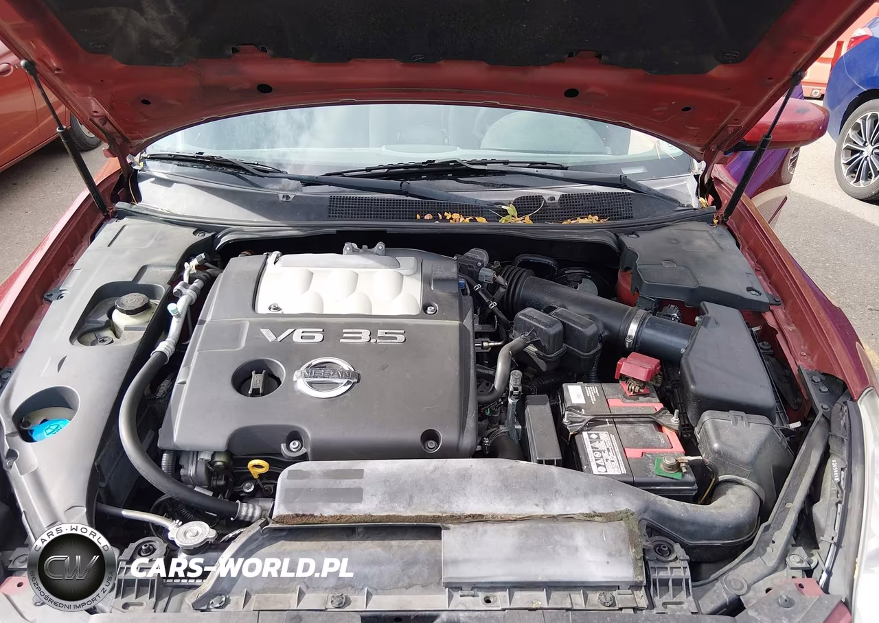 2008 Nissan Maxima 3.5 Se VIN:1N4BA41E78C822995 - 10